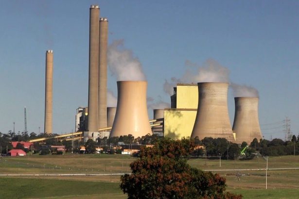 japonia relaxeaza restrictiile centralelor pe carbune pe fondul crizei energetice 69c63e048e79f