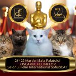 oscarurile lumii feline se decerneaza in acest weekend la bucuresti campioni din toata europa vin la salonul sofisticat 69b985ab76c4d