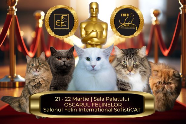 oscarurile lumii feline se decerneaza in acest weekend la bucuresti campioni din toata europa vin la salonul sofisticat 69b985ab76c4d