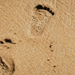 participare record la licitatia pentru plajele din navadari 300 de oferte pentru 58 de subsectoare 69af1248c9456