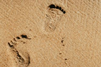 participare record la licitatia pentru plajele din navadari 300 de oferte pentru 58 de subsectoare 69af1248c9456