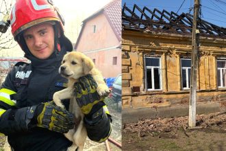 pompierii din timis au salvat un catel dupa ce o casa a luat foc incendiile la locuinte tot mai dese 69c25d9fe7e7d