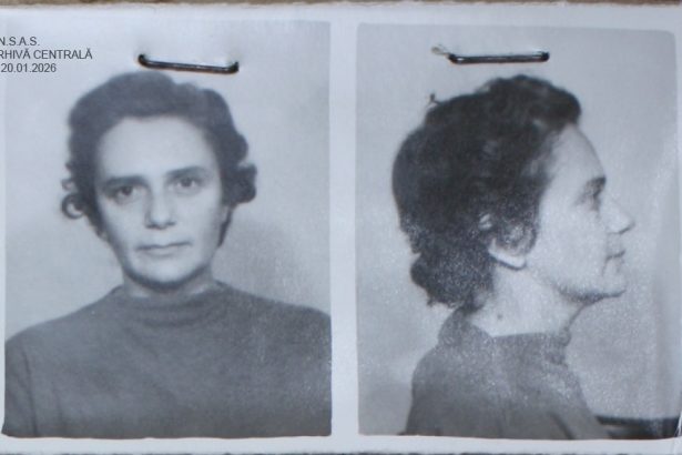 povestile nespuse ale bandei ioanid mia morgan 69b443c350136