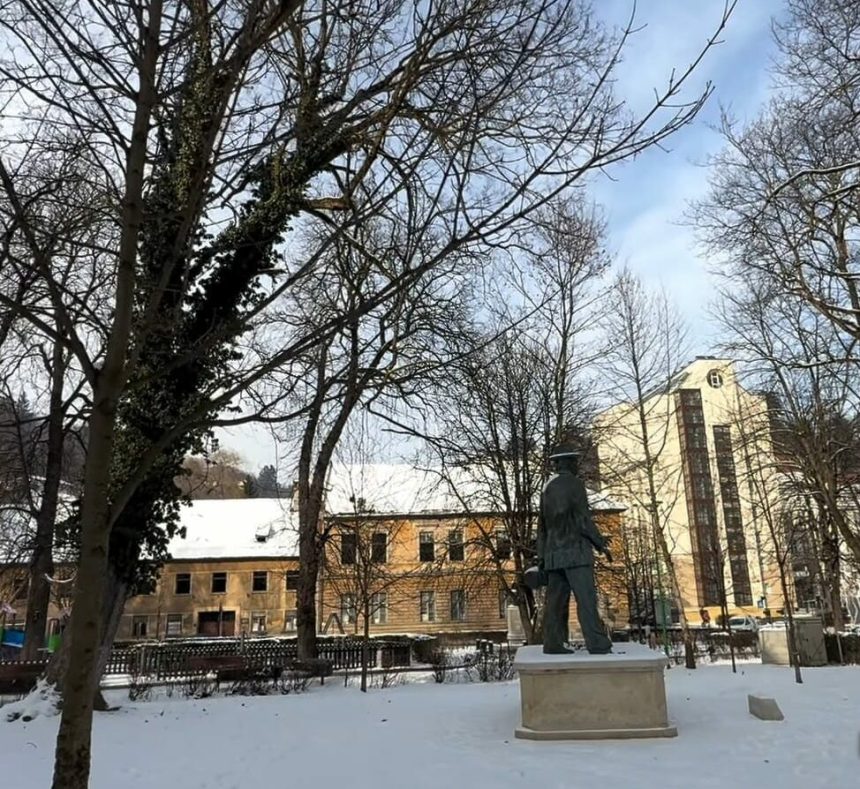 primaria brasov verifica arborii cu tomografii zeci de copaci prezinta risc de cadere 69a8195fe5e4f