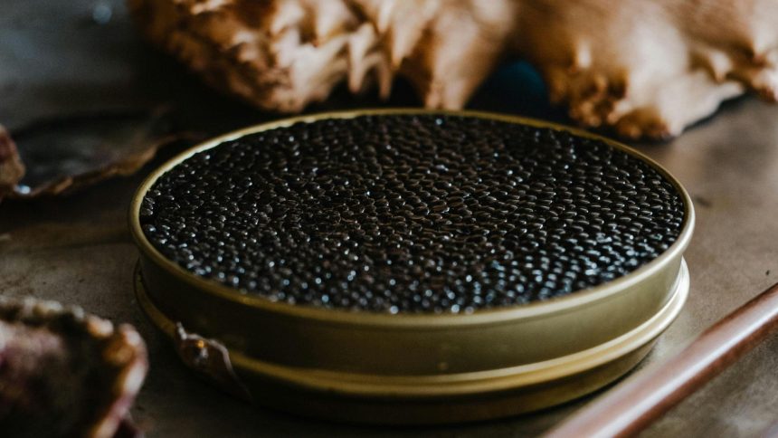 primul caviar produs ecologic in europa se vinde chiar si cu 8 000 de euro pe kilogram 69a4325968fd8