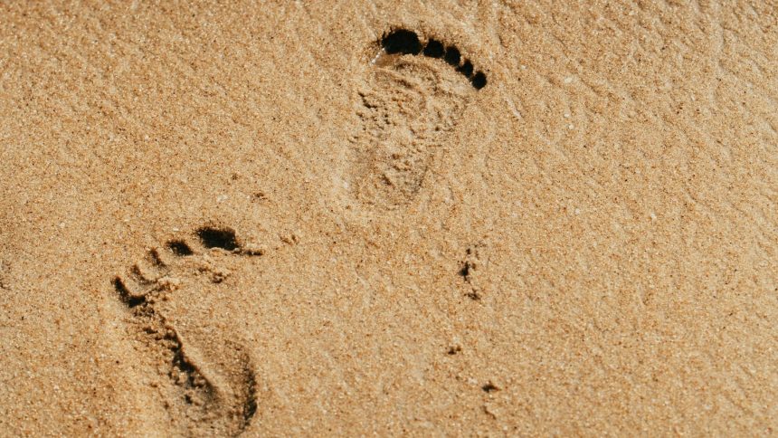 rezervor de gaz ingropat ilegat sub nisip pe o plaja din navodari controale pe tot litoralul 69aef4e549fc9