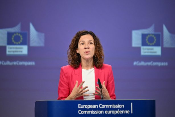 roxana minzatu romania a activat mecanismul de protectie civila al ue pentru repatrierea cetatenilor din zona de conflict 69a852c70e2a1