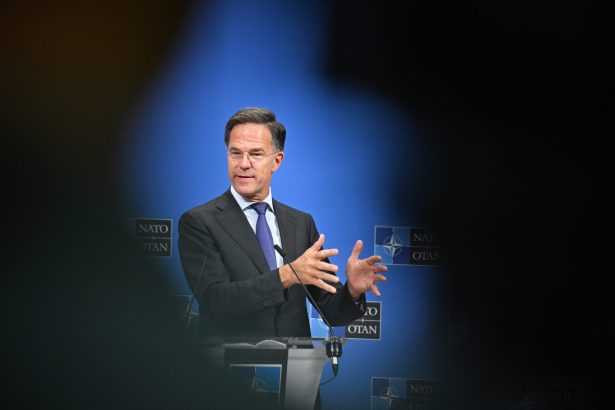 seful nato europa sustine in totalitate actiunea sua in iran ce spune rutte despre o implicare a fortelor nato in operatiuni 69a5af386798e