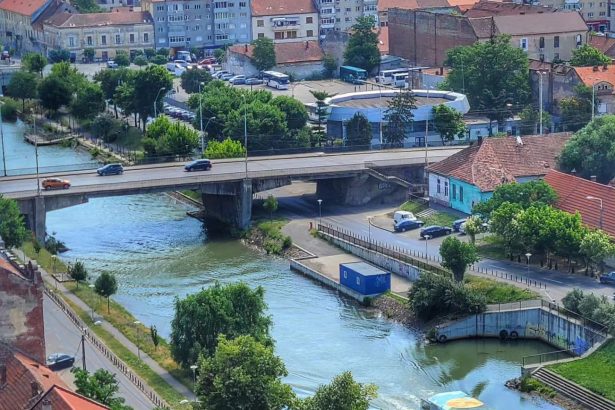 vaporasele revin pe bega se reia transportul public pe canal in timisoara 69b02a7d6adab