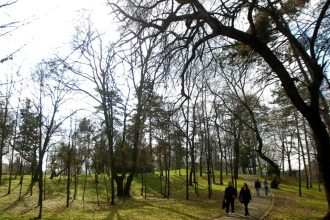 vesti bune de la anm vreme calda pana la sfarsitul luni martie 69aa681e2e4cc