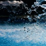 ziua mondiala a apei acolo unde apa ajunge egalitatea creste 69bf883eca8ec