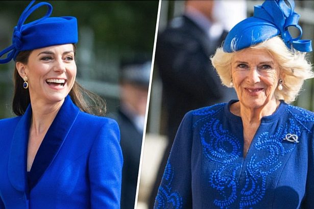 albastrul regal si ierarhiile invizibile cum moda reflecta dinamica de putere din familia regala britanica 69dd2fb344bdc