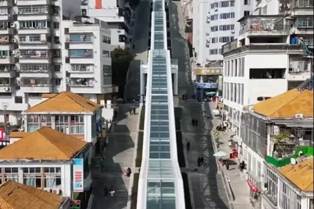 cea mai lunga scara rulanta in aer liber din lume urcarea dureaza peste 20 de minute 69dd4ad1c2a1f