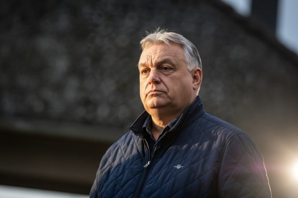 edited alegerile din ungaria de ce este atat de greu de invins viktor orban 69ccda8276b07