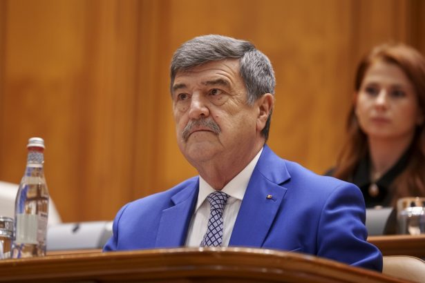 edited ani toni grebla in conflict de interese dupa trei ordine prin care si a majorat salariul la aep 69ce73ac4fdcd