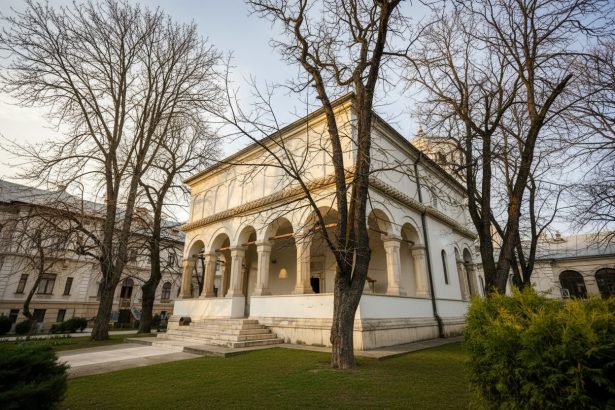 edited demisiile ministrilor psd si propunerile pentru interimate au fost trimise la presedinte 69ea5dbe8fbfc