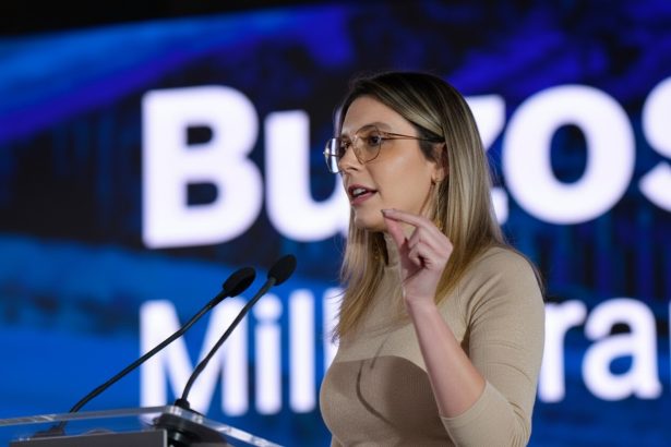 edited diana buzoianu ministerul mediului a obtinut o victorie in prima instanta legata de drumul din padurea baneasa 69de41fd41444