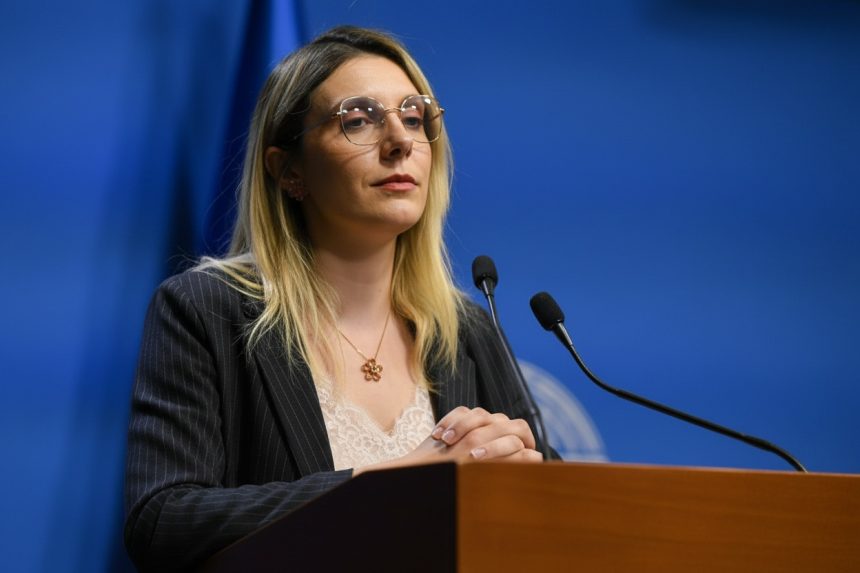 edited diana buzoianu spune ca programul rabla este in asteptare si depinde de aprobarea bugetului afm 69eca6756b790