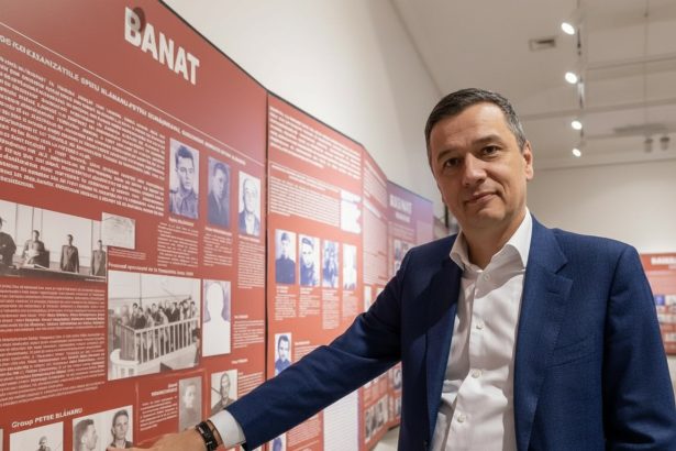edited grindeanu la memorialul durerii din sighet la sectiunea dedicata banatului se afla si fotografia bunicului meu 69e200a573580