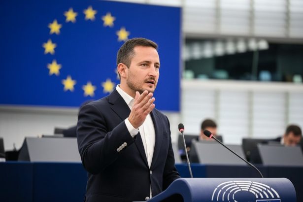 edited nicu stefanuta oamenii cred ca suntem platiti bine si nu facem nimic 69e1cf7436dbd