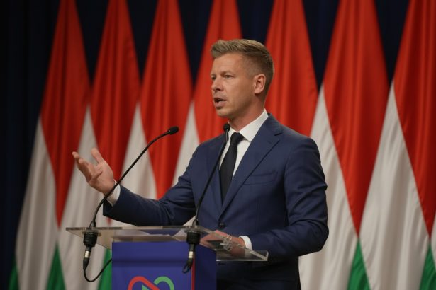 edited peter magyar la televiziunea publica vom inchide aceasta fabrica de minciuni 69dfd1a0a20fb