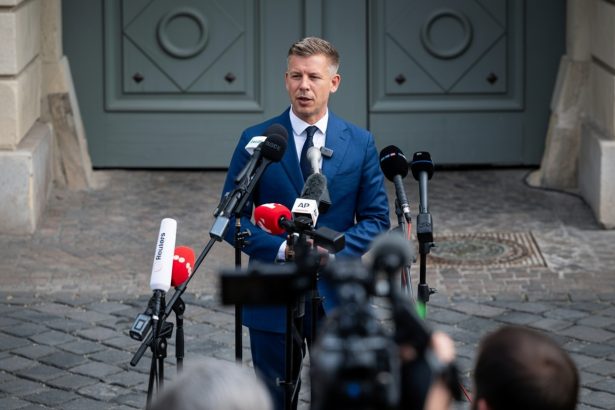 edited peter magyar muta sediul guvernului de la budapesta ce vrea sa faca cu biroul lui viktor orban 69e0bf958e956