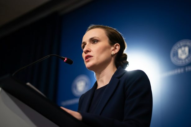 edited premiera pentru romania la sediul nato oana toiu lanseaza romania industry day la bruxelles 69e2646d6ea02