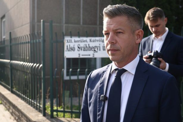 edited primele declaratii ale lui peter magyar dupa inchiderea urnelor ungaria a scris din nou istorie 69dbdf6e85222