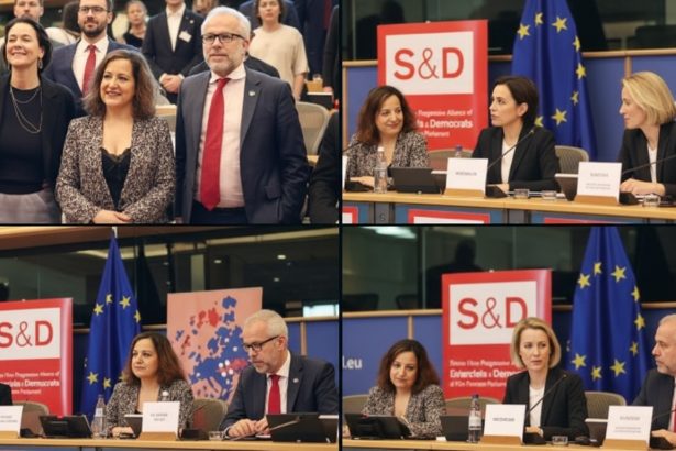 edited socialistii spanioli din parlamentul european nemultumiti de situatia psd din romania liderul pnl a folosit un cliseu fascist numindu i pe toti social democratii sobolani 69e8e0bd8feaa