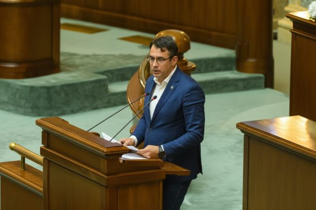 edited stefan palarie dupa alegerile parlamentare din ungaria avem de invatat din procedura de organizare 69de1b4ec204b