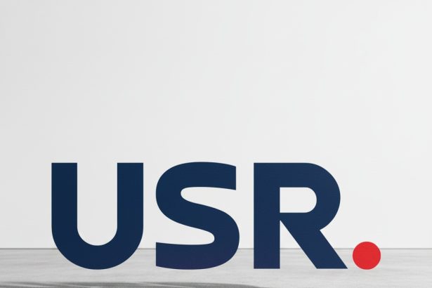 edited usr apel la responsabilitate adresat psd sa inceteze jocul cu economia romaniei si sa se intoarca la munca 69e2288f1edcf