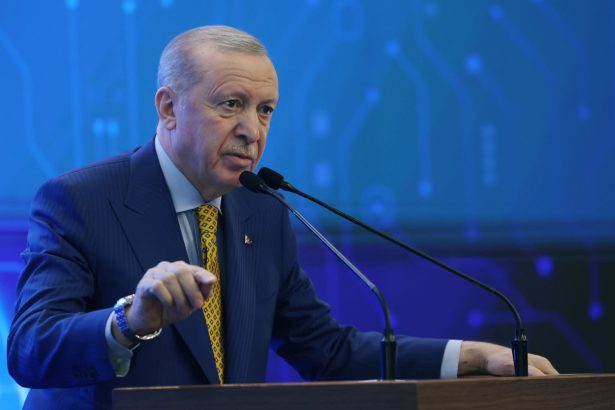 erdogan anunta ca face eforturi pentru reluarea negocierilor ucraina rusia turcia ar putea gazdui intalnirea putin zelenski 69e9c7ab49c8f