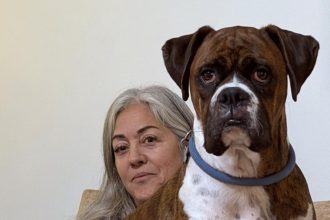 fraudele la vot in sua foarte simplu de facut o femeie din california si a inregistrat cainele pentru a vota 69e5a300cb8c8