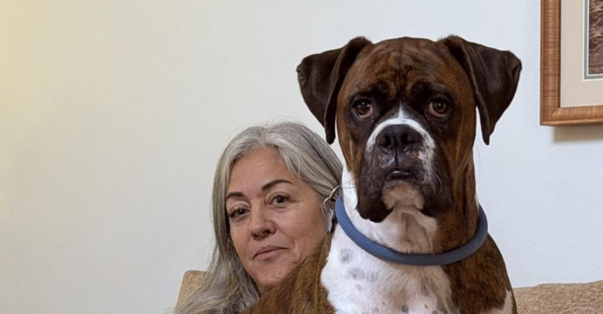 fraudele la vot in sua foarte simplu de facut o femeie din california si a inregistrat cainele pentru a vota 69e5a300cb8c8