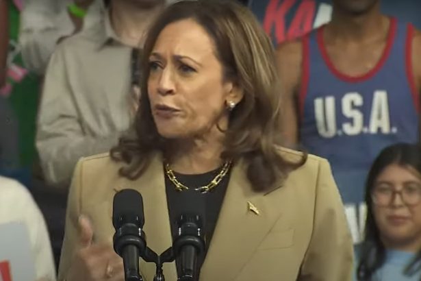 kamala harris ia in calcul o noua candidatura la casa alba in 2028 dupa ce a pierdut acum doi ani 69da04d45fffd