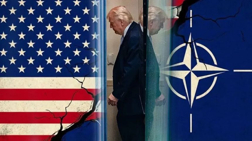 lista neagra a lui trump cutremur in nato dupa informatiile scurse din interiorul administratiei de la casa alba 69e90f93781b8