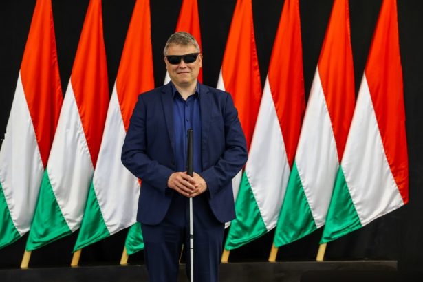ministrul nevazator din guvernul ungariei povestea lui vilmos katai nemeth 69ebb86e6d56b