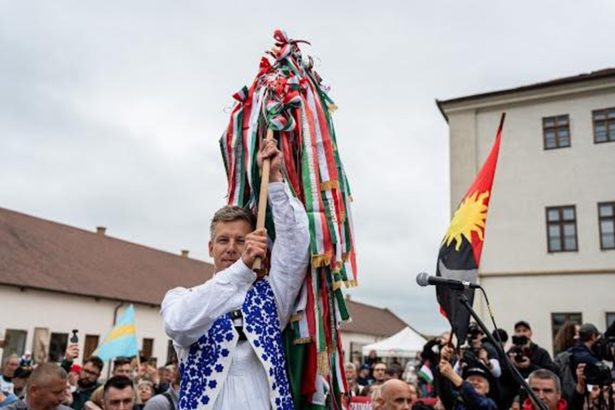 minoritatile nationale din ungaria fara reprezentare parlamentara dupa alegeri diferente majore fata de sistemul din romania 69dd00dfec108