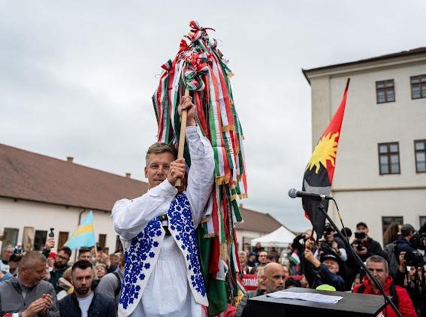 minoritatile nationale din ungaria fara reprezentare parlamentara dupa alegeri diferente majore fata de sistemul din romania 69dd00dfec108