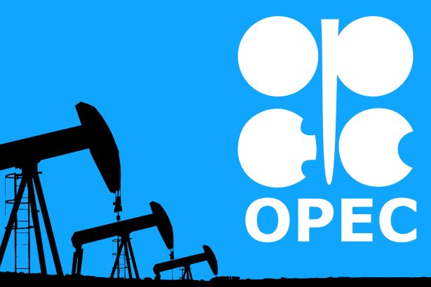 opec decide cresterea productiei dar aceasta nu compenseaza toate pierderile aduse de inchiderea stramtorii ormuz 69d3465b18399