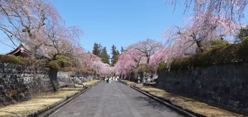oras din japonia sufocat de turisti dupa viralizarea unei imagini cu muntele fuji si florile de cires 69d87553d6e7a