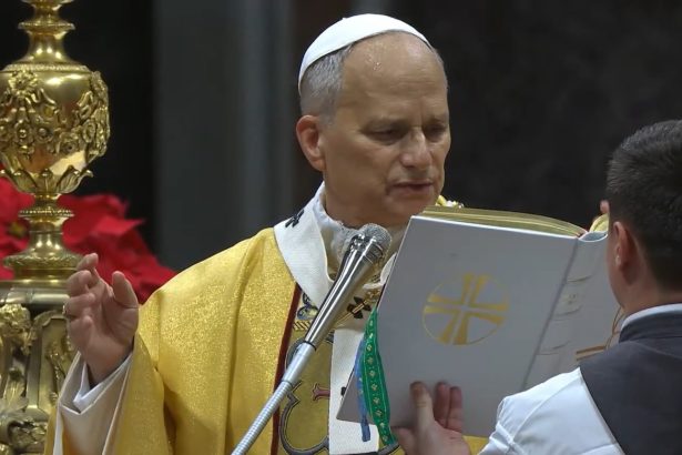 papa leon spune ca nu l a vizat pe trump cu comentariile sale despre tirani si razboaie 69e3e48f6c14b