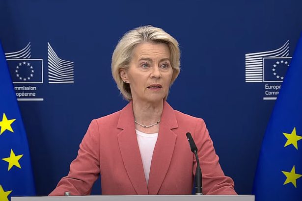 presedinta ce presata de conservatorii din germania sa elimine birocratia de la bruxelles 69ef60c3a08d7