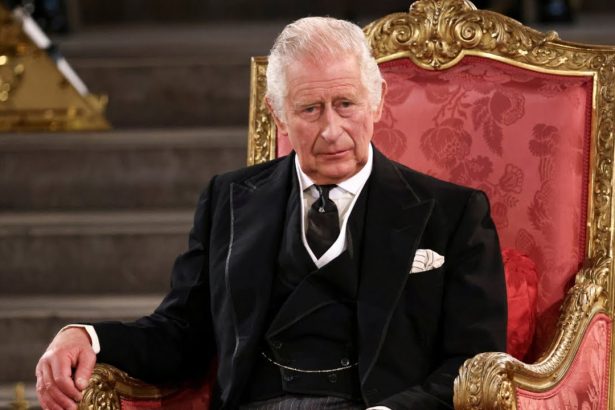 regele charles rupt intre indatoririle coroanei si preocuparile sale mai putin obisnuite 69e5302ab3be9