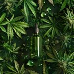 schimbare in politica antidrog din sua marijuana mutata in categoria medicamentelor cu potential moderat de abuz 69ef2f8dc998b