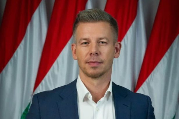 tensiuni in ungaria dupa ce peter magyar a adus acuzatii grave guvernului condus de viktor orban 69e25e646081c