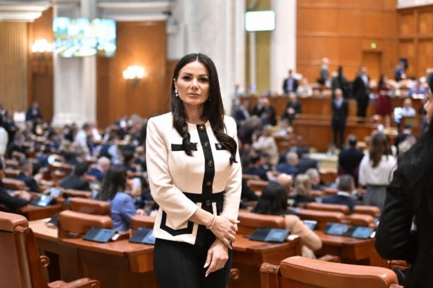 Valentina Aldea în plenul Senatului, susținând proiectul privind țigările electronice și tutunul încălzit în spațiile publice închise