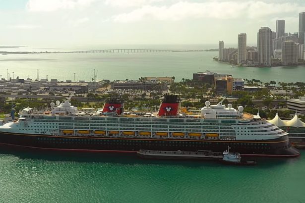 angajatii ai disney cruise line arestati sub ochii pasagerilor ce orori s au gasit pe navele de croaziera 69fd91bd27fa7