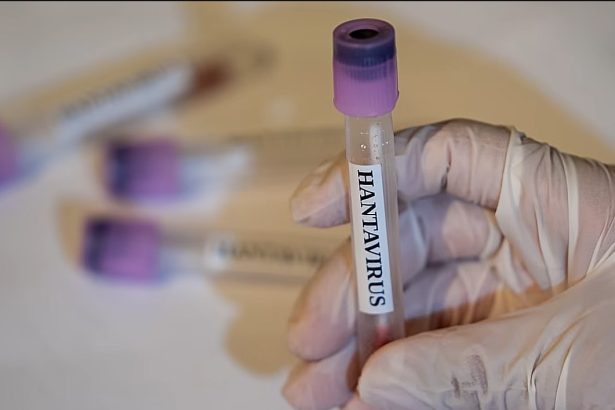 cdc opinie diferita de oms cu privire la focarul de hantavirus ce riscuri vede sua 69fd9b4a4cfc4
