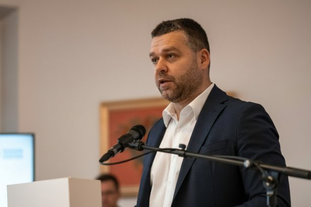 edited ciprian ciucu despre psd si aur avem deja o majoritate functionala in parlament pnl continua sa l sustina pe ilie bolojan 6a05ff002eff3